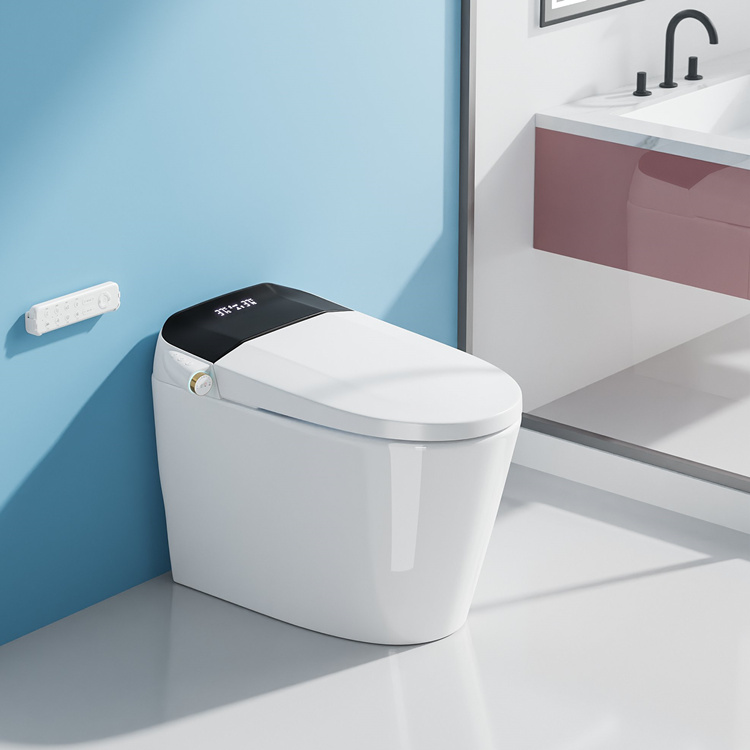 WC Intelligente con Sensore di - Home Bathroom Decor recensione e prezzo